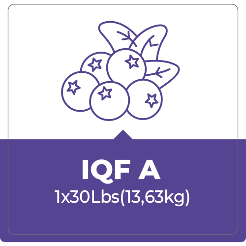 Arándano IQF A – 30 Lbr