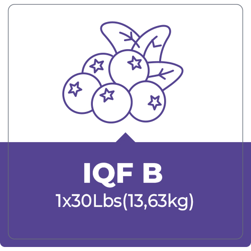 Arándano IQF B – 30 Lbr