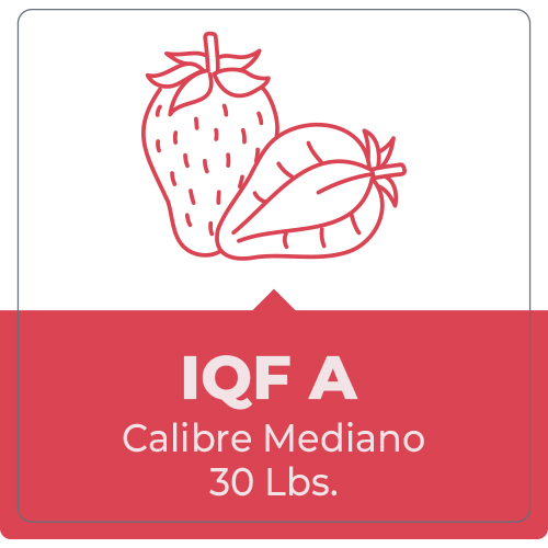 Frutilla IQF A – 30 Lbr