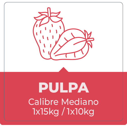 Frutilla Pulpa – 10 y 15 Kg