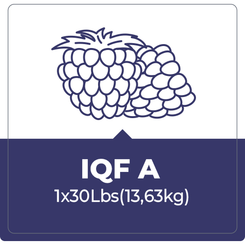 Mora IQF A – 30 Lbr