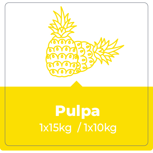 Piña Pulpa – 10 y 15 Kg