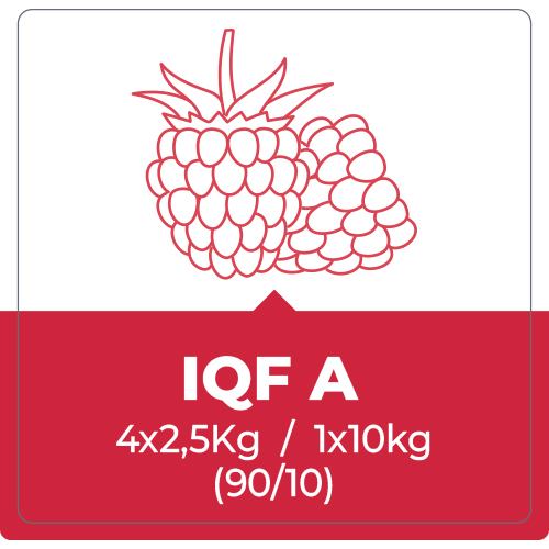 Frambuesa Entera IQF – 10 Kg