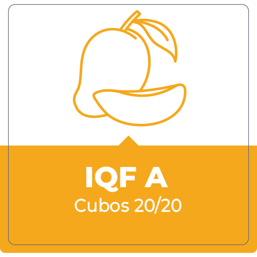 Mango IQF A – Cubos 20/20