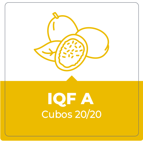 Maracuyá IQF A – Cubos 20/20